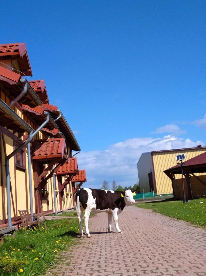 Pensjonat Przy Stajni Kierzkowo  エクステリア 写真